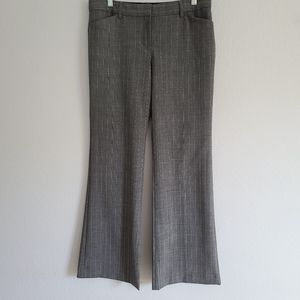 Express Design Editor Pants